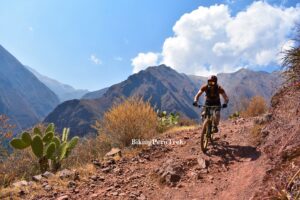 mountain biking tours